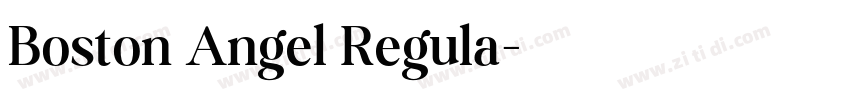 Boston Angel Regula字体转换